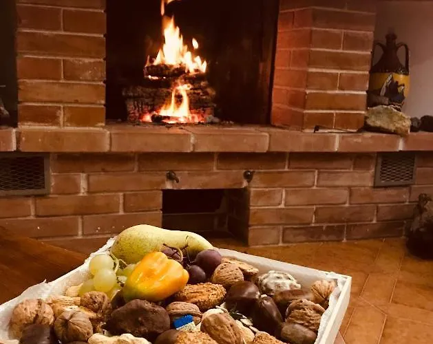 Apartment Eagle Terrasini